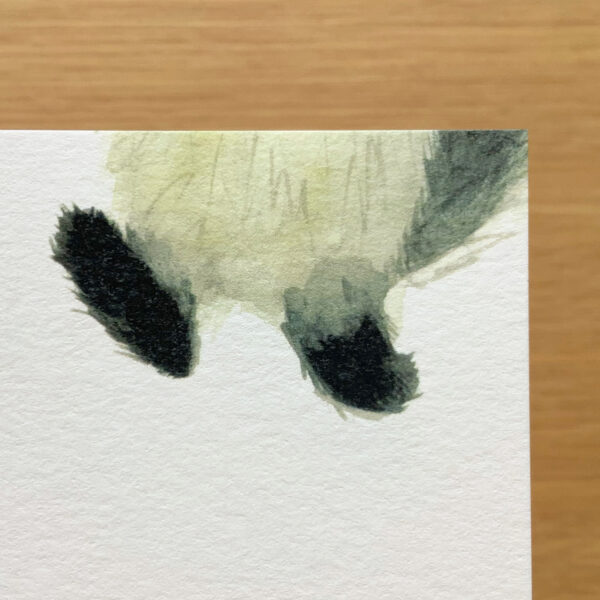 ポストカード  ＊我々と猫＜01＞ - 画像 (8)
