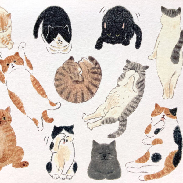 ポストカード  ＊猫が好き - 画像 (6)
