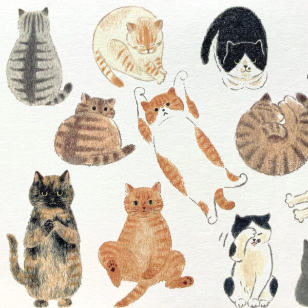 ポストカード  ＊猫が好き - 画像 (5)