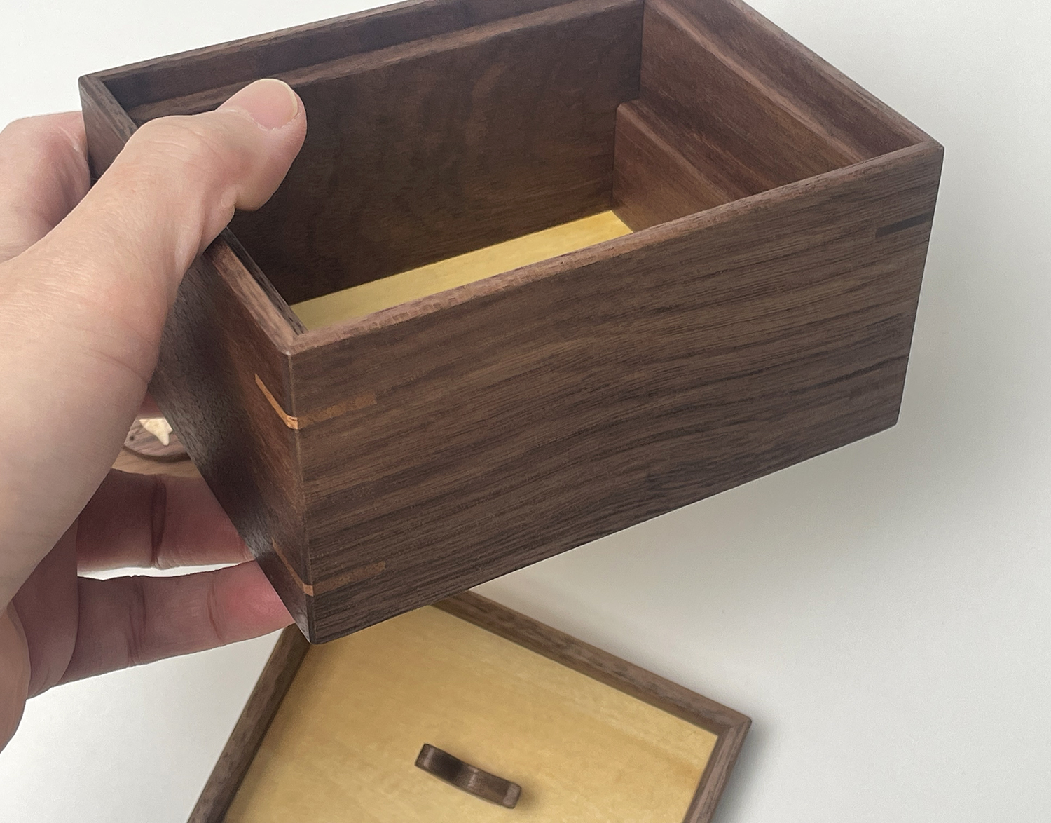 小箱 ねこ - 画像 (7)