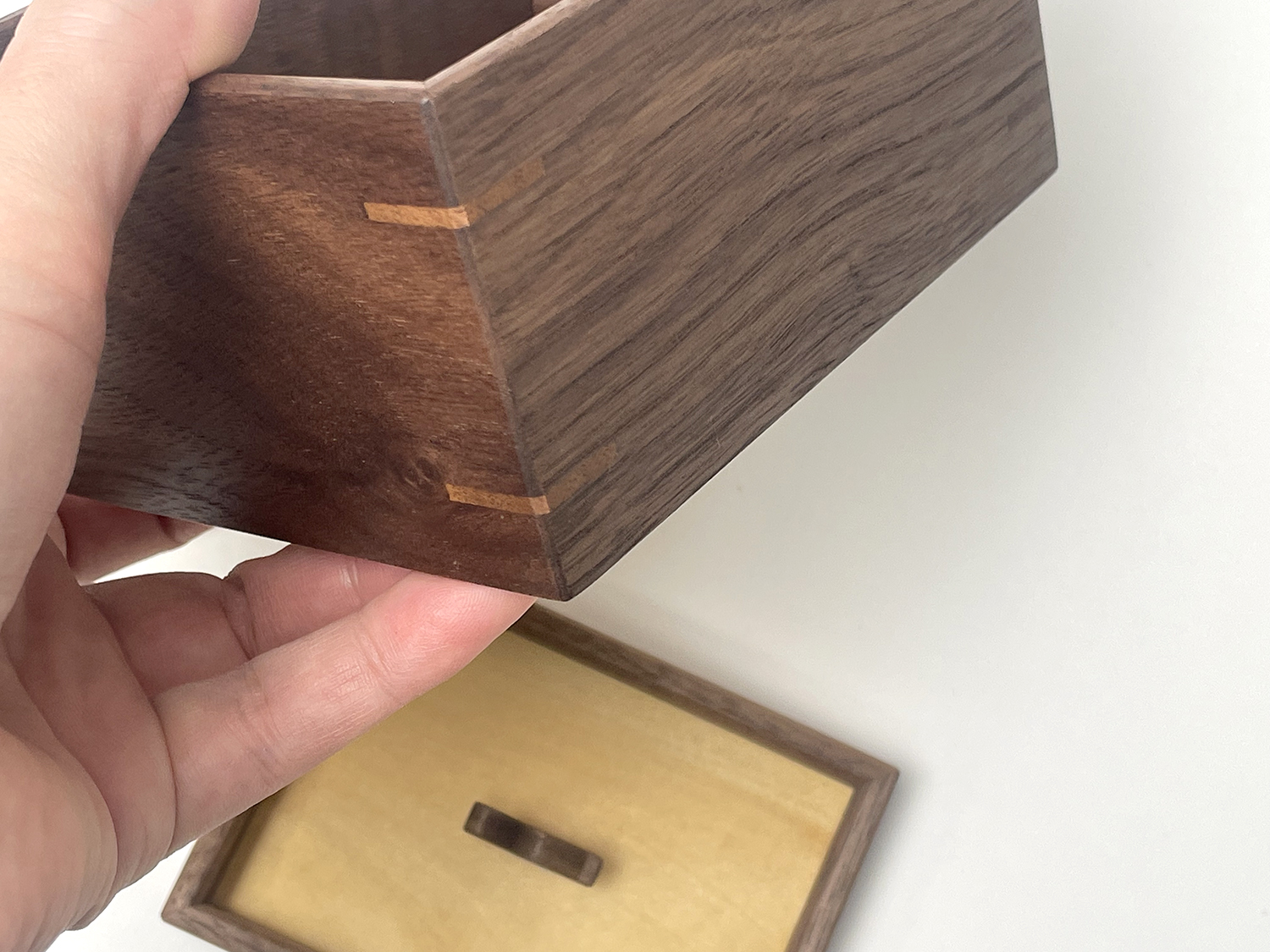 小箱 ねこ - 画像 (8)