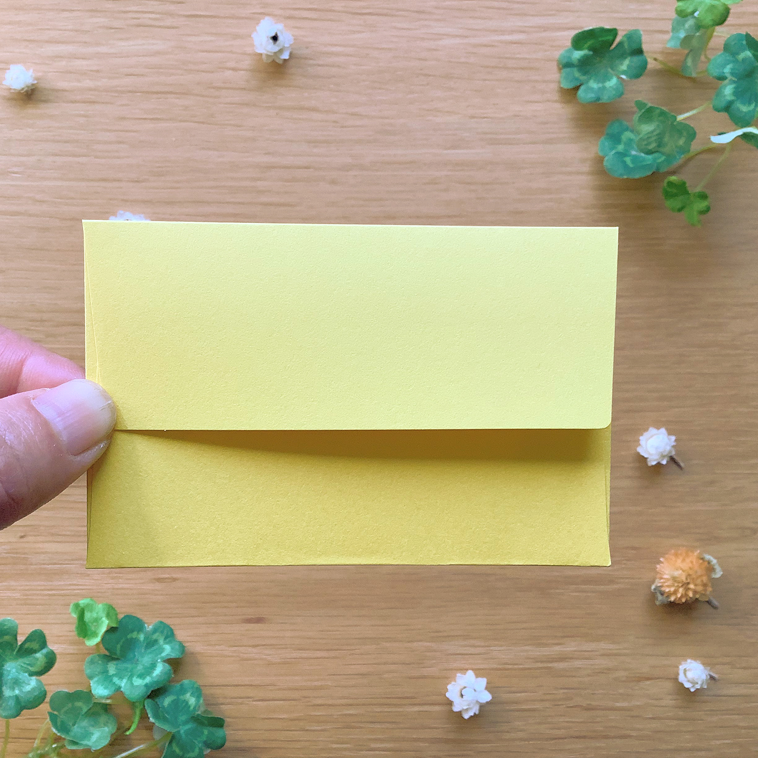 ミニカード 春のうさぎさん - 画像 (4)