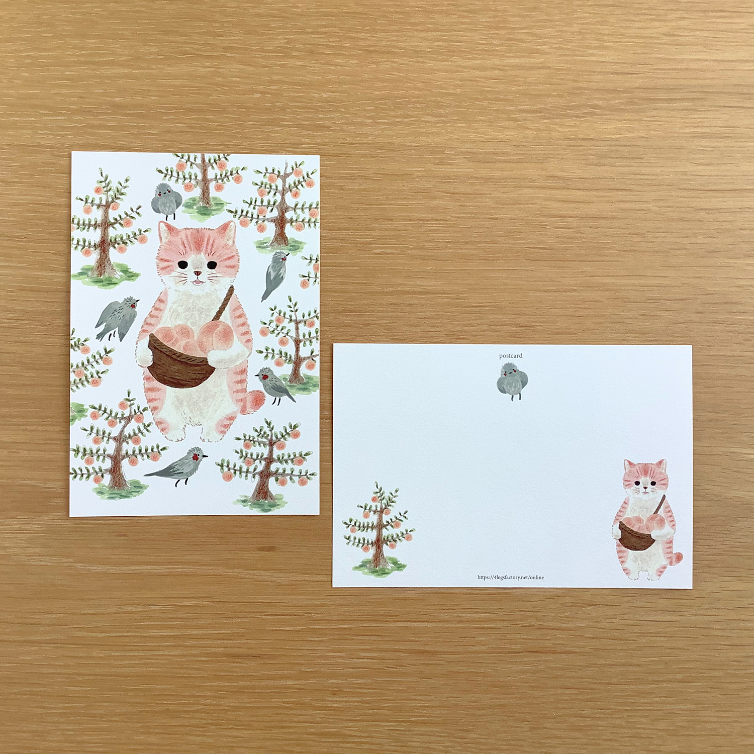 ポストカード 絵本の中のねこ(#new13 モモトラ) - 画像 (3)