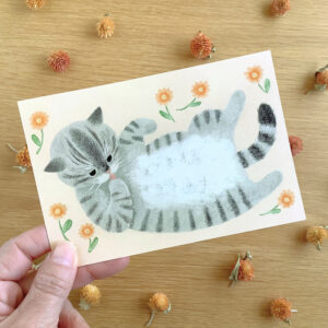 ポストカード　お腹なでて（サバトラ猫）