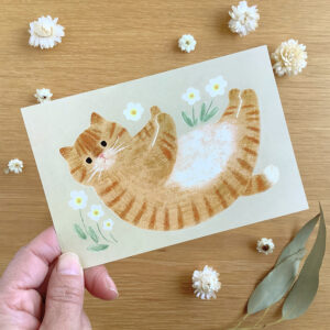 ポストカード　お腹なでて（茶トラ猫）