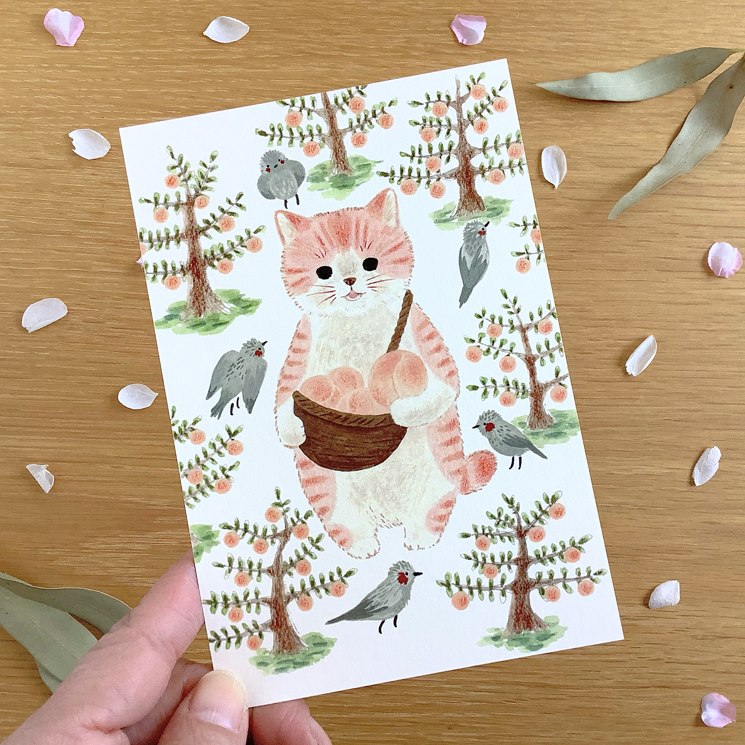 ポストカード 絵本の中のねこ(#new13 モモトラ)