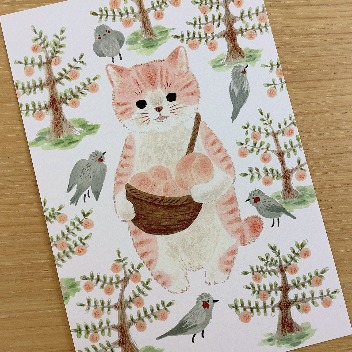 ポストカード 絵本の中のねこ(#new13 モモトラ) - 画像 (4)